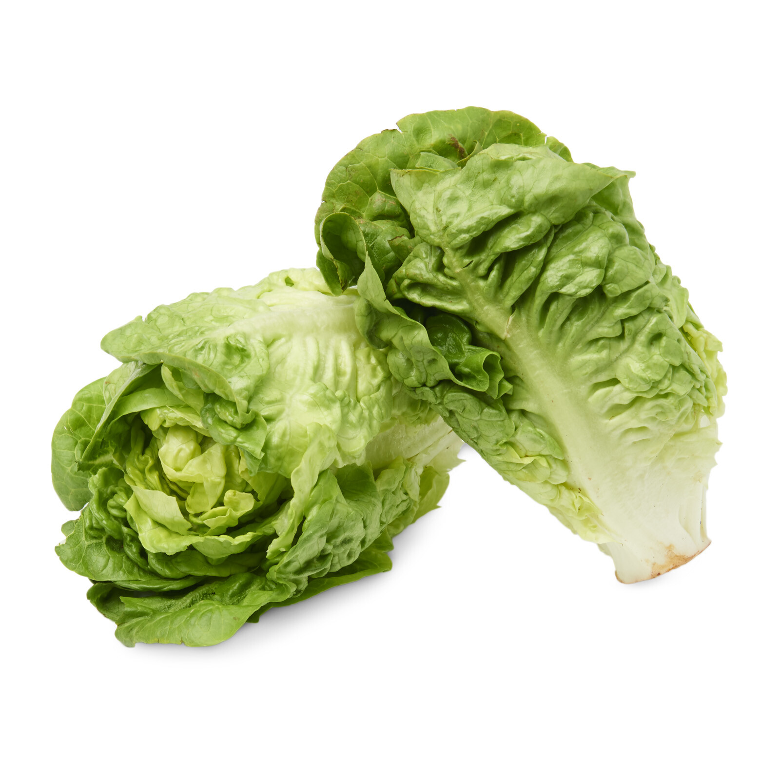 Little Gem Lettuce Seeds 600+ Mini Romaine NON-GMO USA SELLER FREE SHIPPING