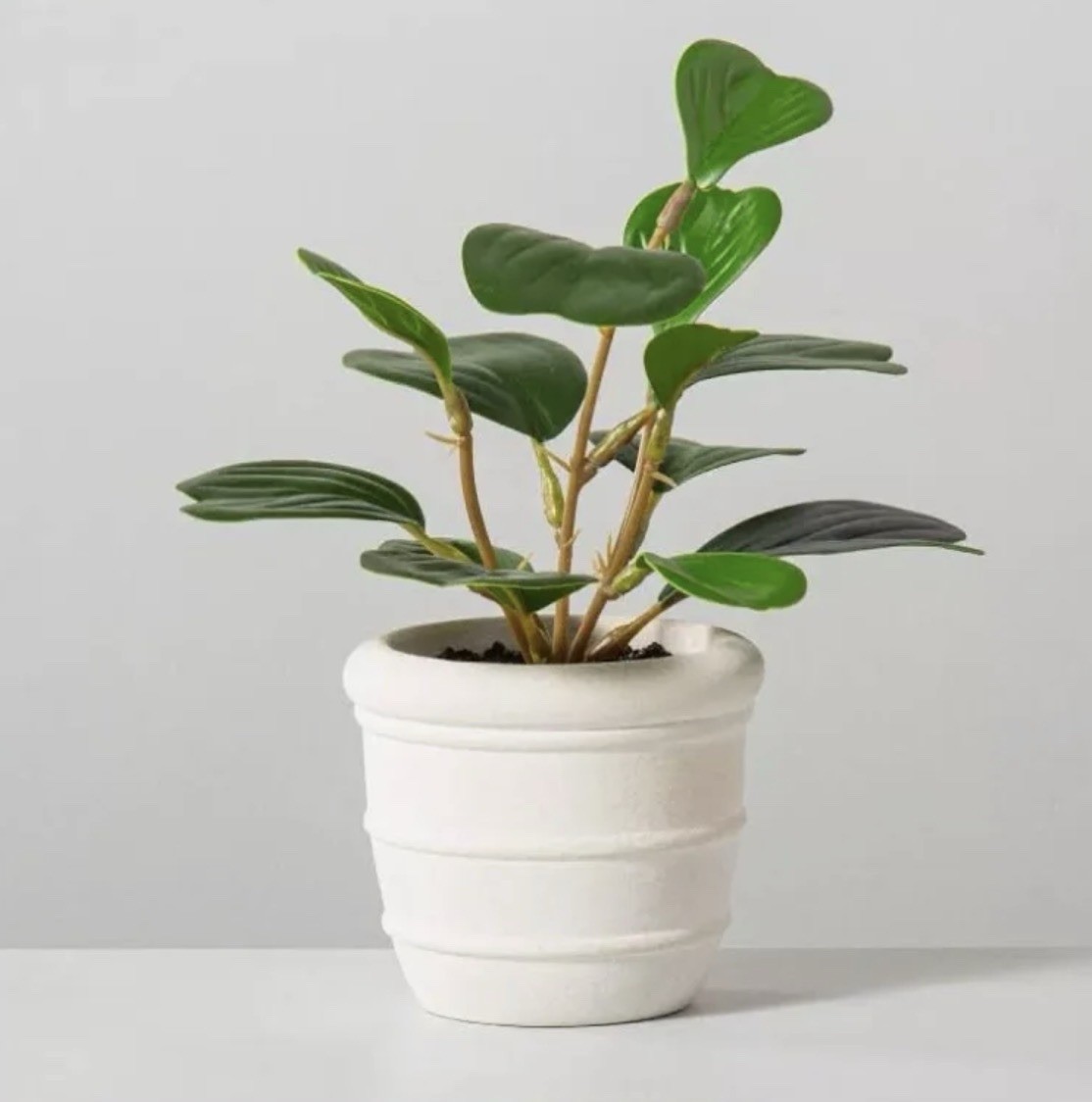Potted Rubber Plant Ficus Green Broadleaf Indoor White Pots Houseplants fake