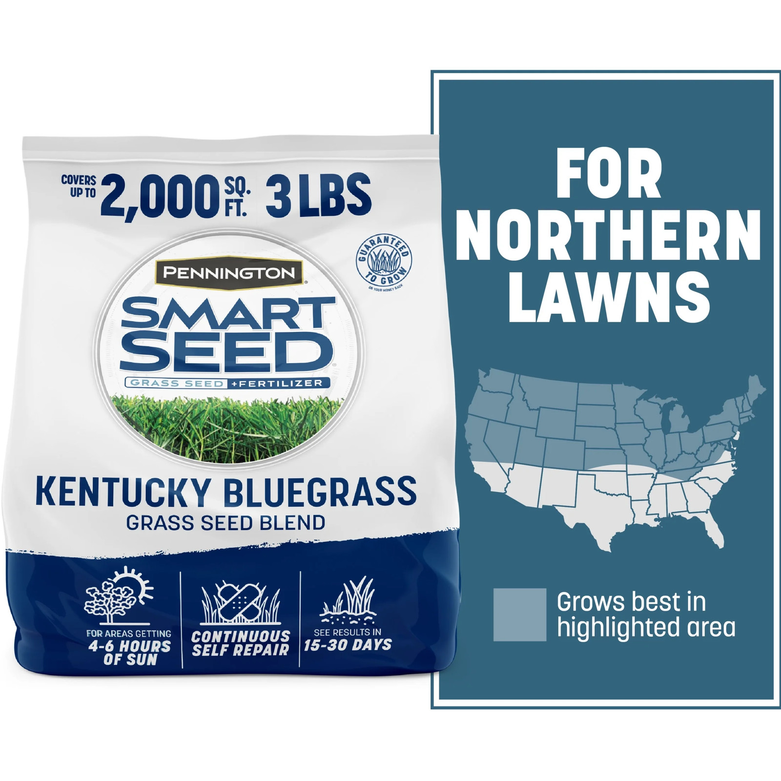 Smart Seed Kentucky Bluegrass Grass, Lawn Seed Grass for Sun to Partial Shade, 3