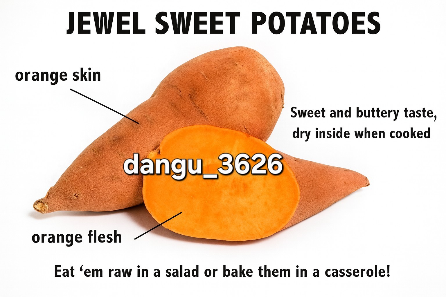 10 Orange Sweet Potato Slips Copper Jewel Variety–90 Days | Organic Luxury Slips