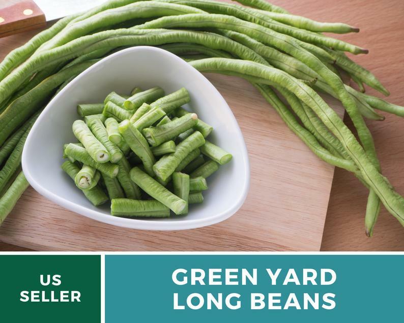Bean, Yard Long Green – 15 Seeds, Pole, Heirloom Vegetable (Vigna unguiculata)
