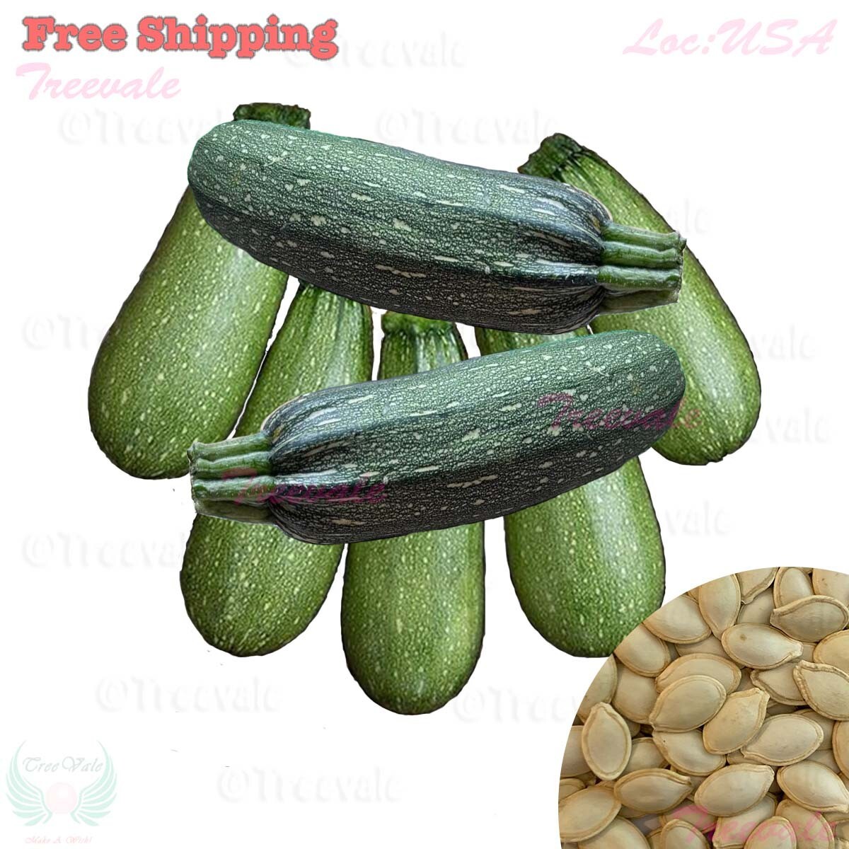 Zucchini Grey Summer Squash Seeds | Calabacita, Marrow Squash, Mexican Squash