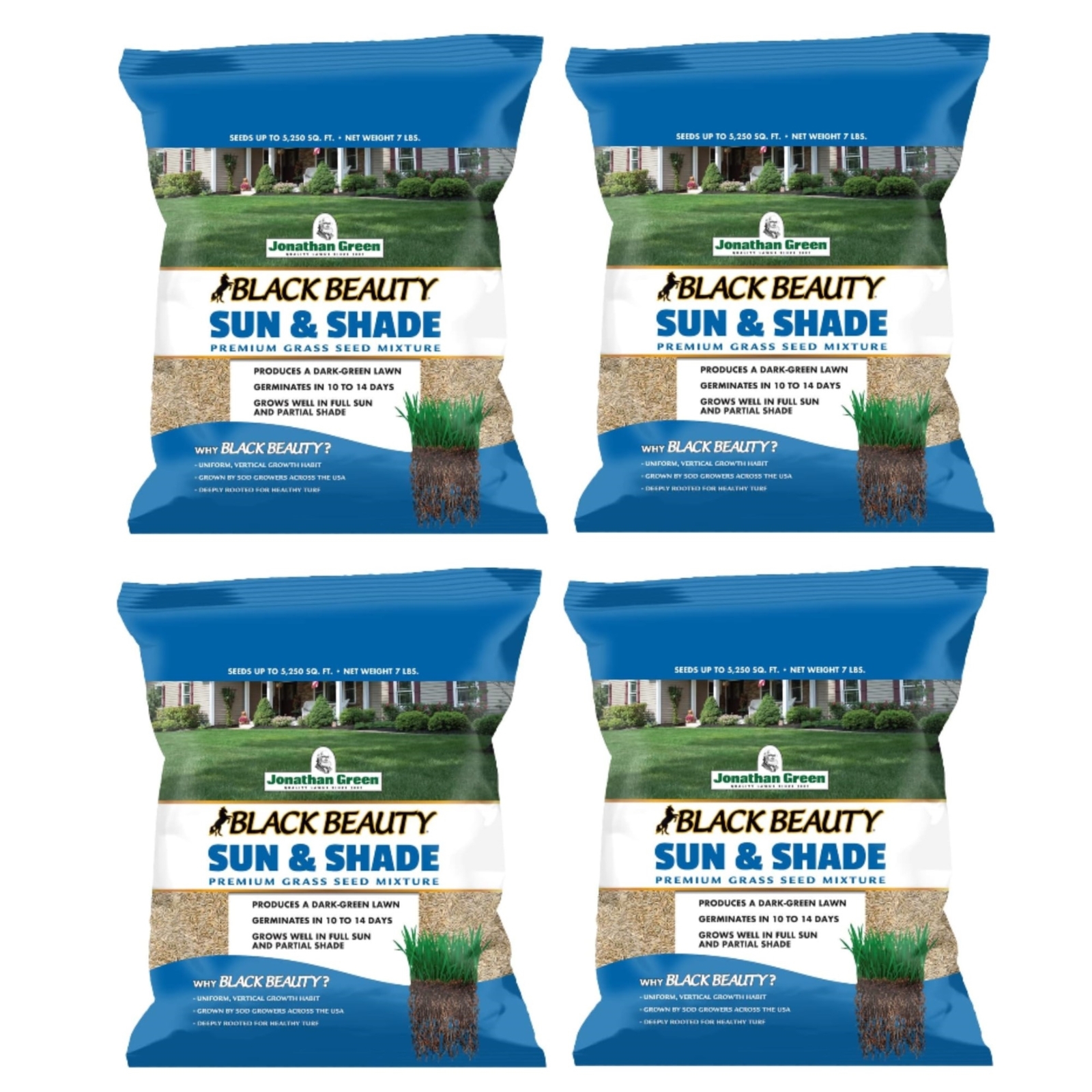 Jonathan Green (#12005) Black Beauty Sun & Shade Grass Seed, 7lb bags, 4 Pack