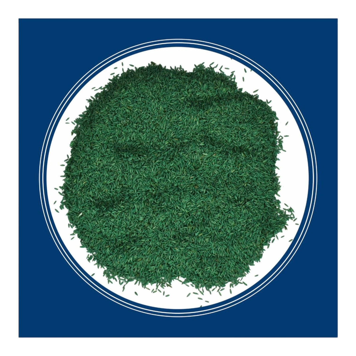 Kentucky Bluegrass Northern Grass Seed Mix, Sun Light to Partial Shade, 3 lb Bag