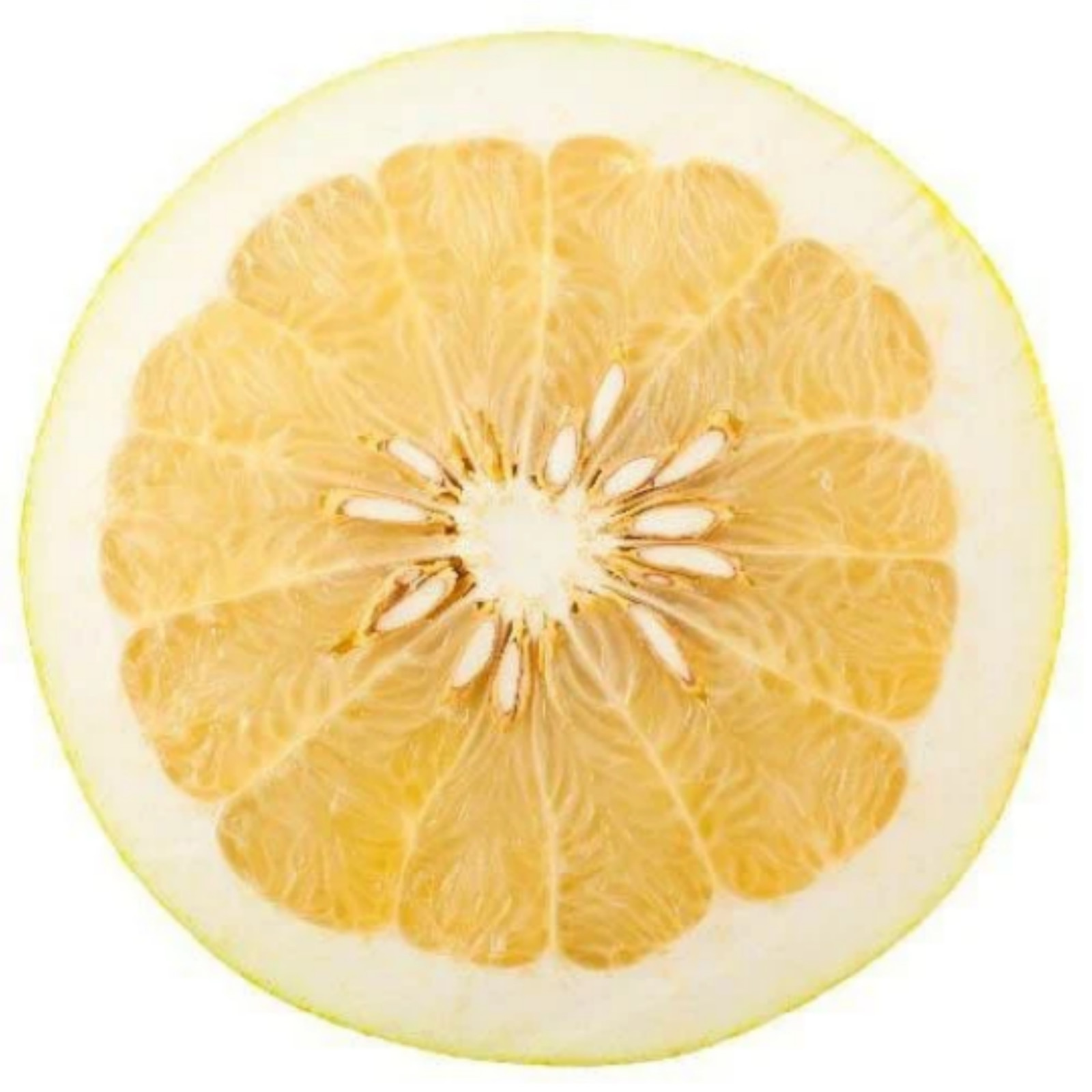 Florida only! Duncan Grapefruit Tree, 1 gallon tree, grafted 26-30″ tall