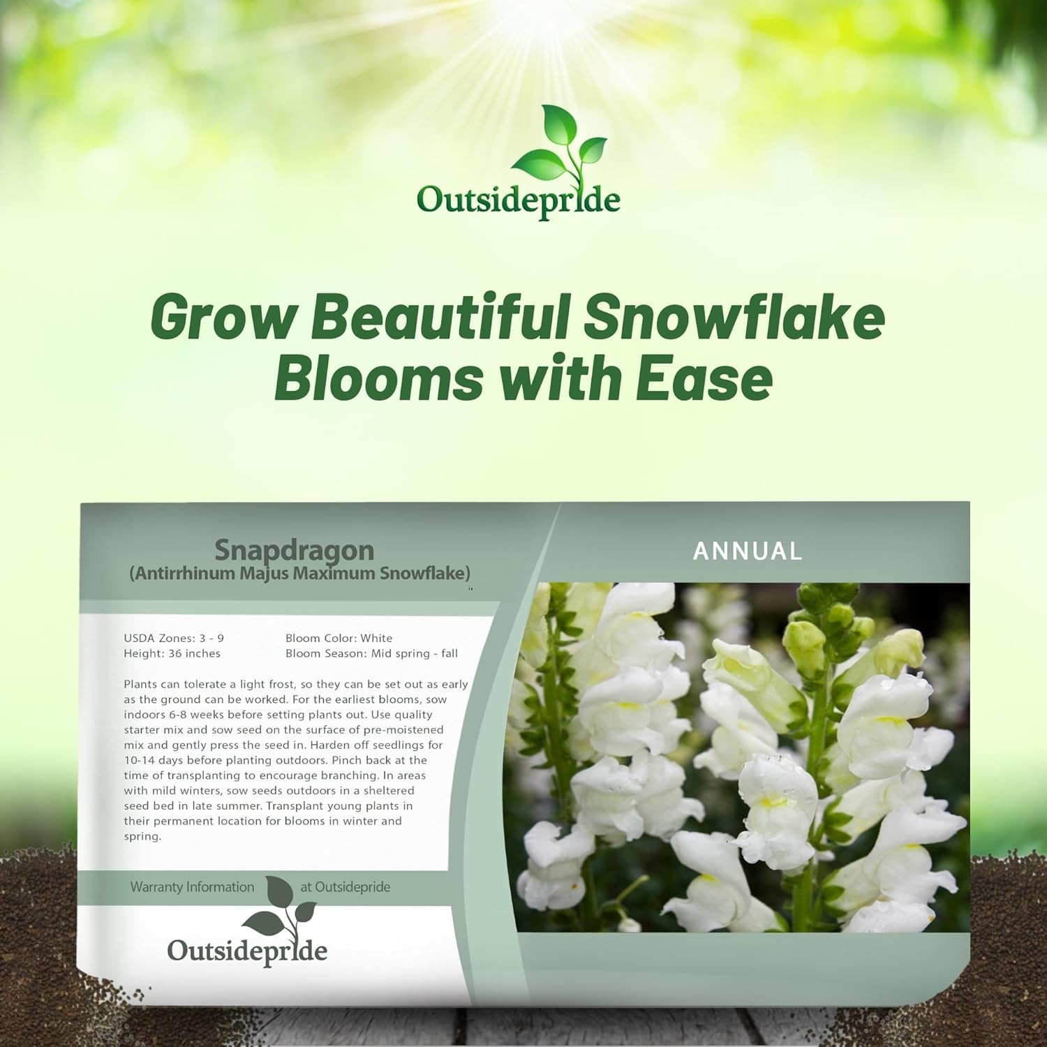 10000 Seeds Snapdragon Seeds – Tall White Snapdragon Flower Seed