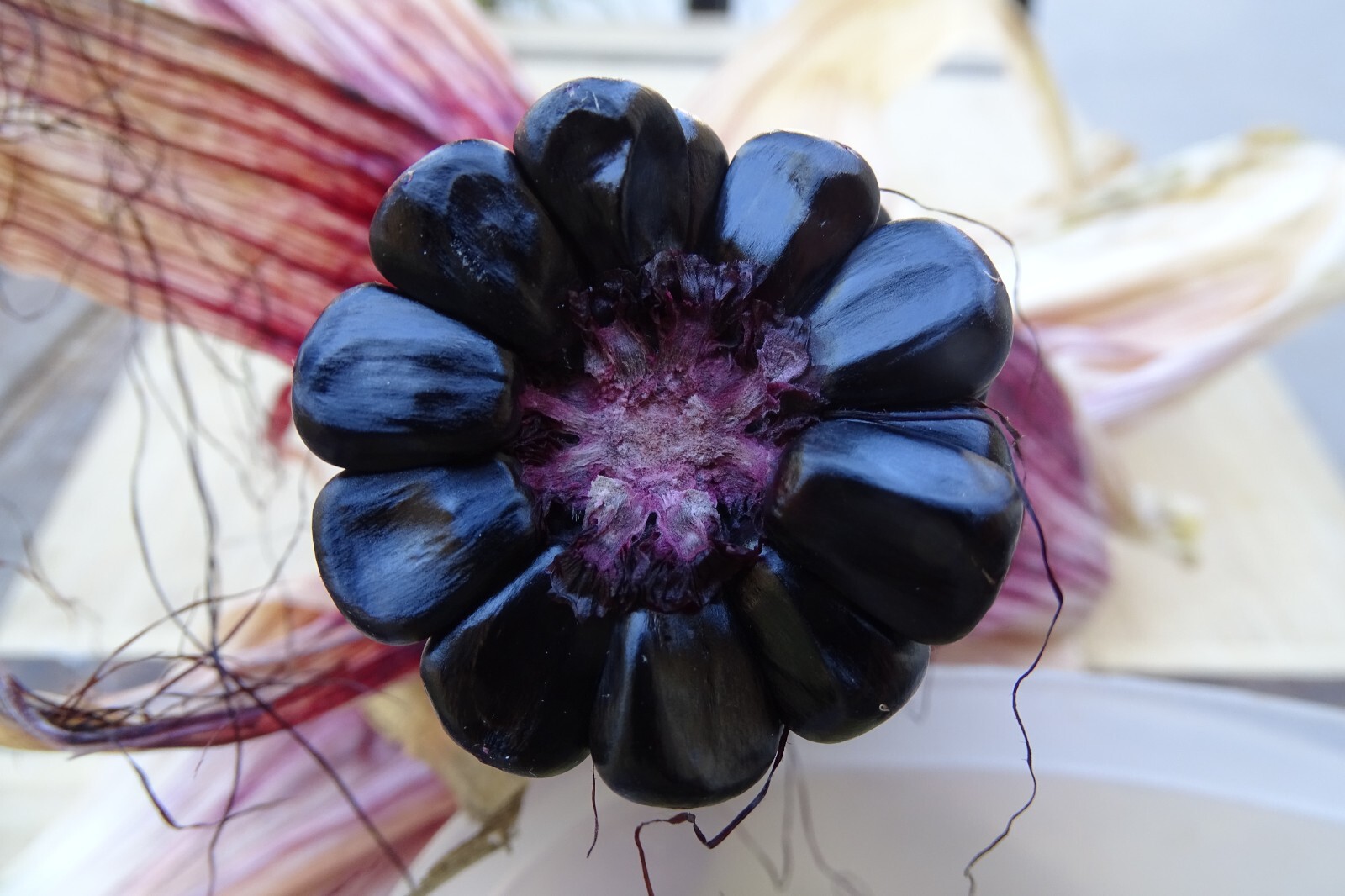 Maize Morado – Black Corn from Peru