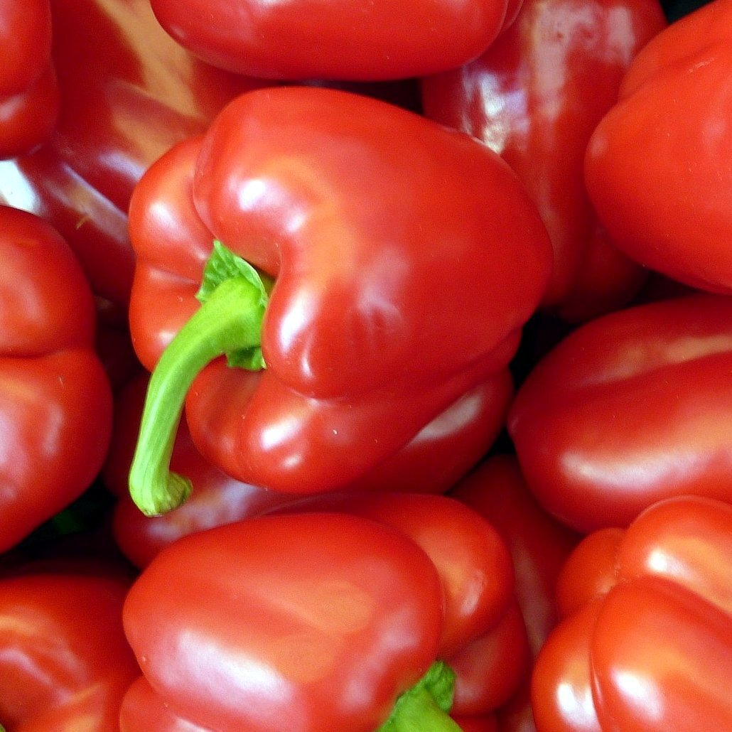 Big Red Sweet Pepper Seeds 25+ Capsicum Anuum Vegetable HEIRLOOM USA FREE S&H