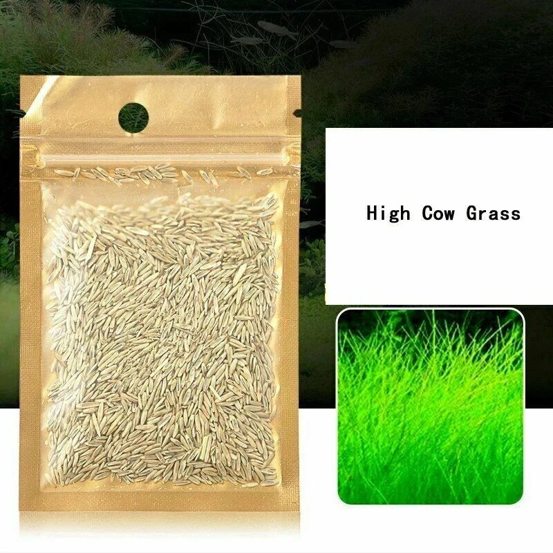 500Pcs Big Cow Hair Grass Seeds Aquarium Aquatic Plant for Tank USA Seller