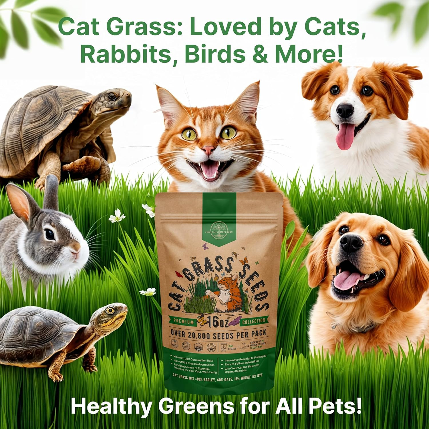 Cat Grass Seeds Mix 16oz – 20,800 Non-GMO Barley, Oat, Rye & Wheat Seeds for Pet