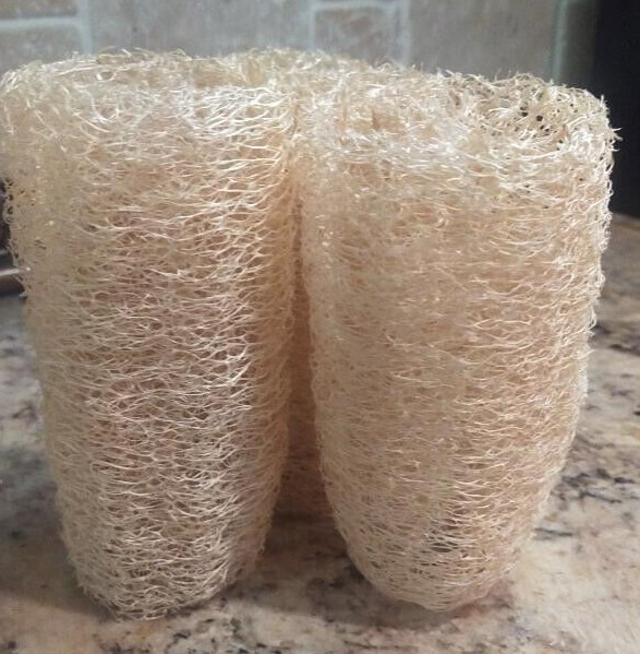 BULK PRICE FREE SHIPPING USA 100%Organic Natural Loofah Sponge Seeds Luffa Gourd