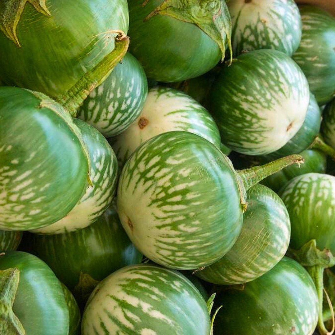 Fresh Thai Eggplant Seeds | Ngai Gwa | Heirloom Non-GMO | Asian Vegetable Seeds