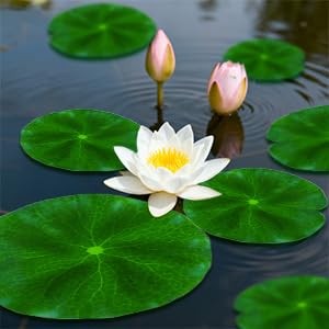 18PCS Lily Pads for Ponds Artificial Pond Plants Floating Flowers for Pool Aquar