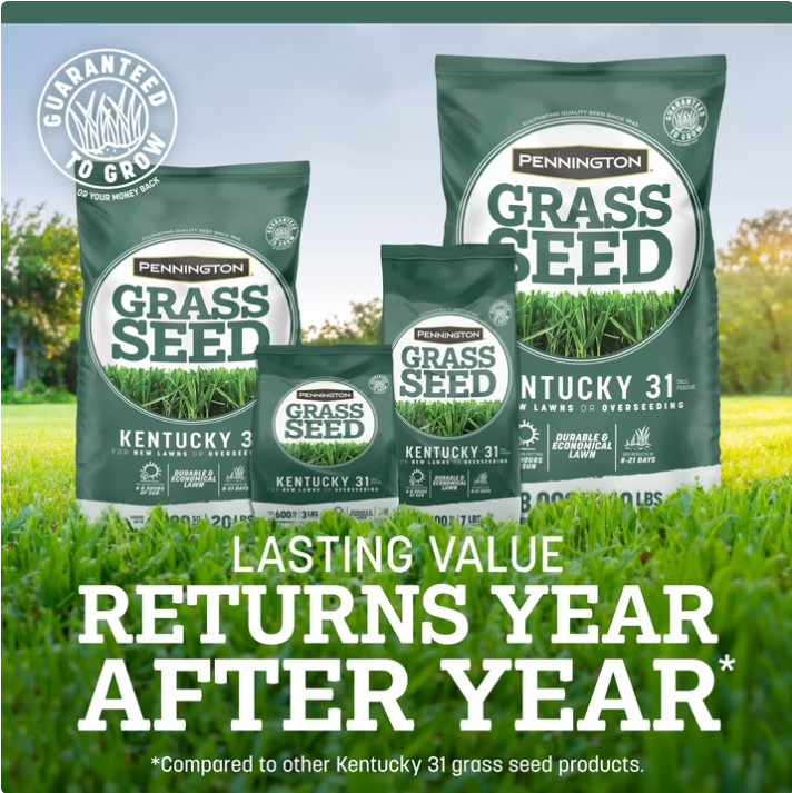 Pennington Kentucky 31 Tall Fescue Grass Seed Sun to Partial Shade 20 lb New