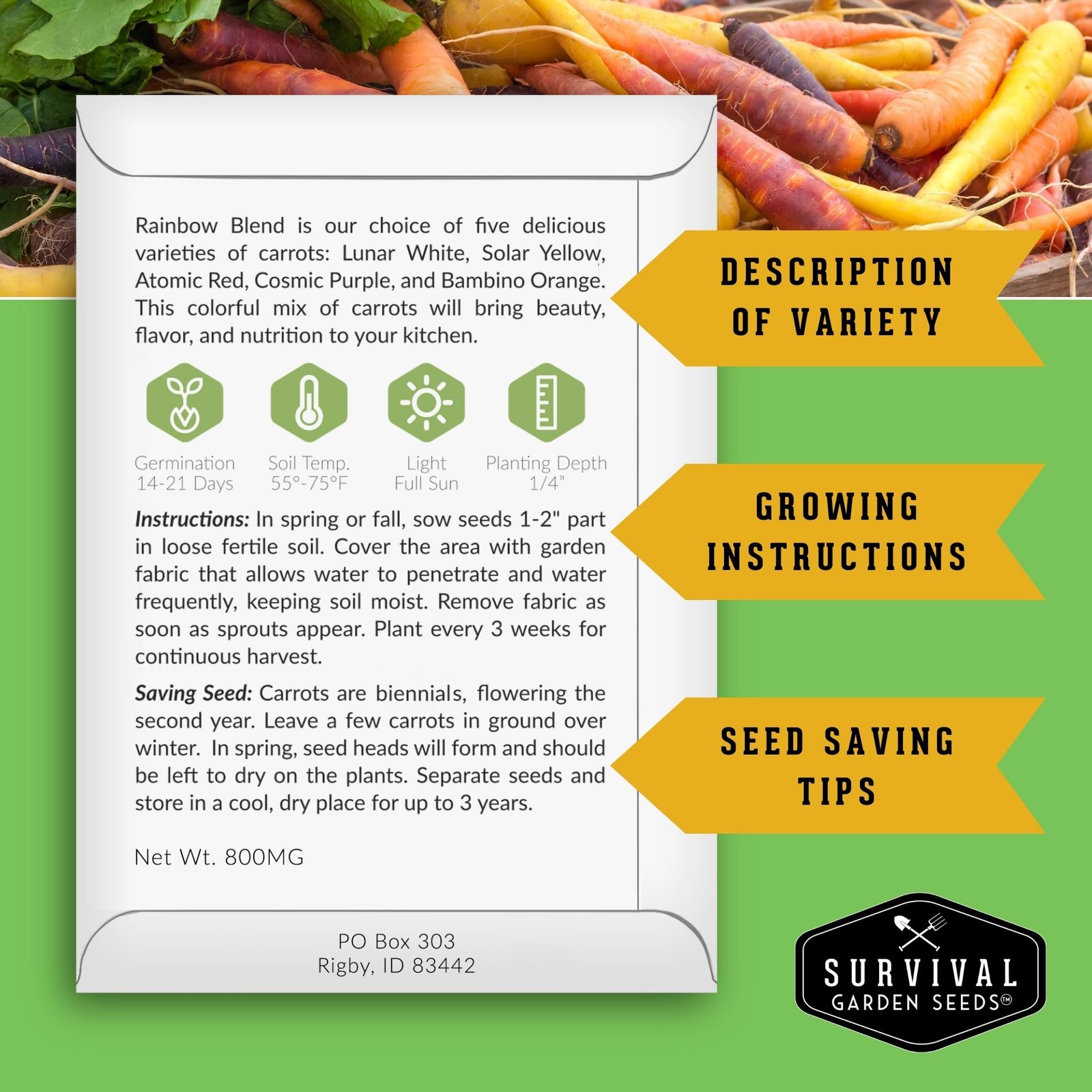 Fall & Winter Vegetable Seed Collection 8 Packs of NonGMO Heirloom Seeds for …