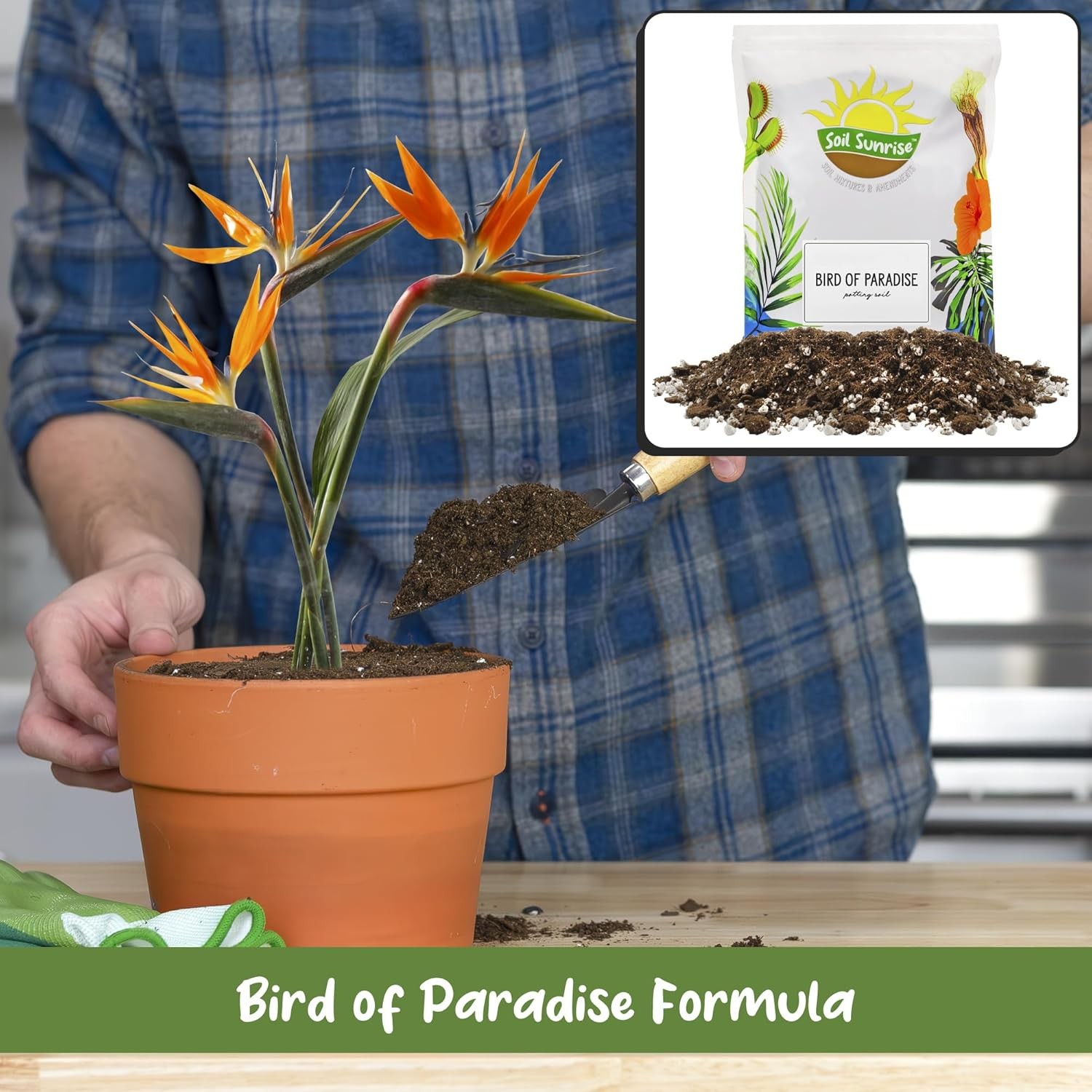 Bird of Paradise Potting Soil Mix (8 Quarts), All Natural for 8 Quarts
