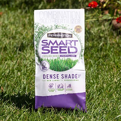 7 lb Pennington Smart Seed Dense Shade Grass Seed for Low Sunlight Areas