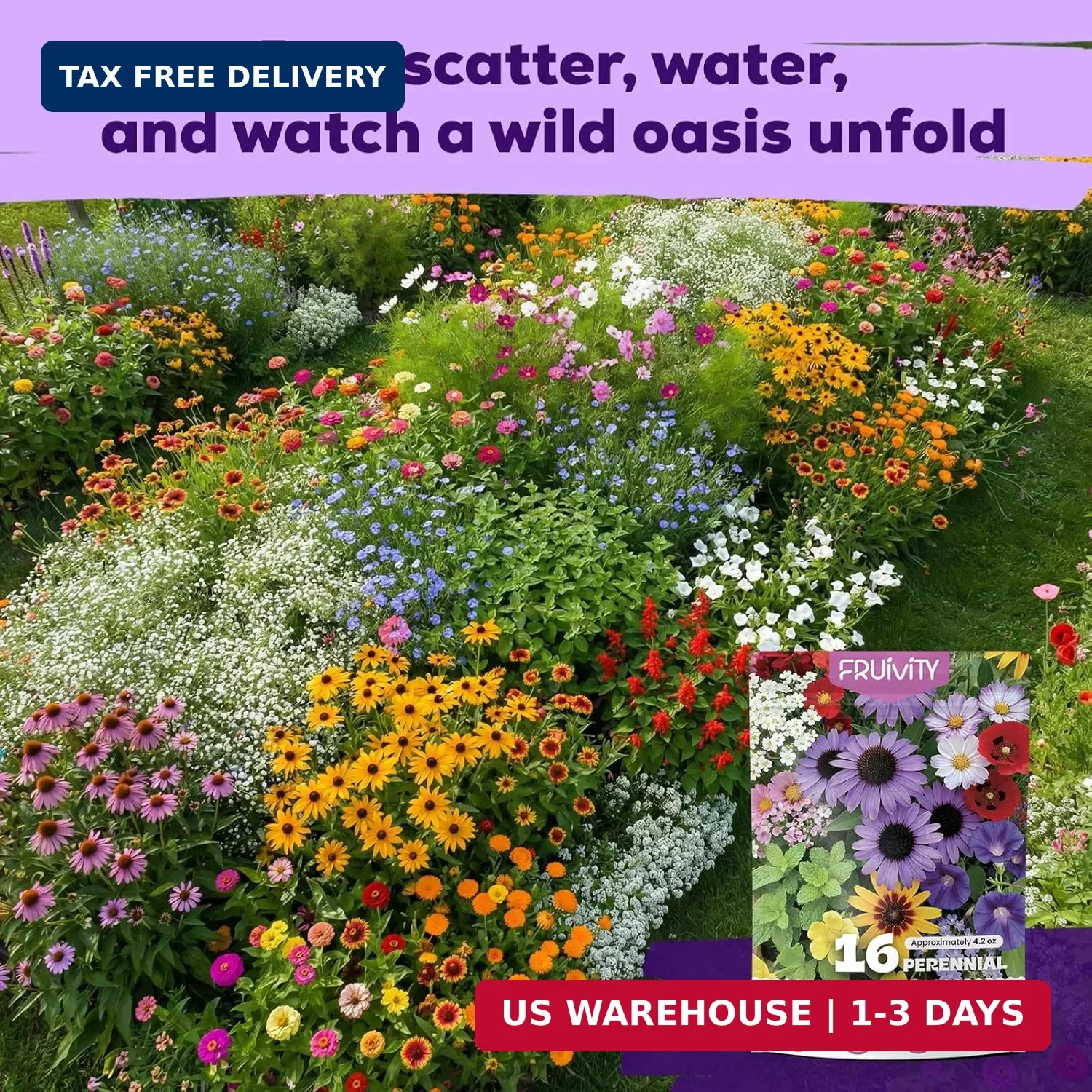 200,000+ Wildflower Seeds Bulk (4oz) – 16 Varieties Perennial & Annual Mix, Non-