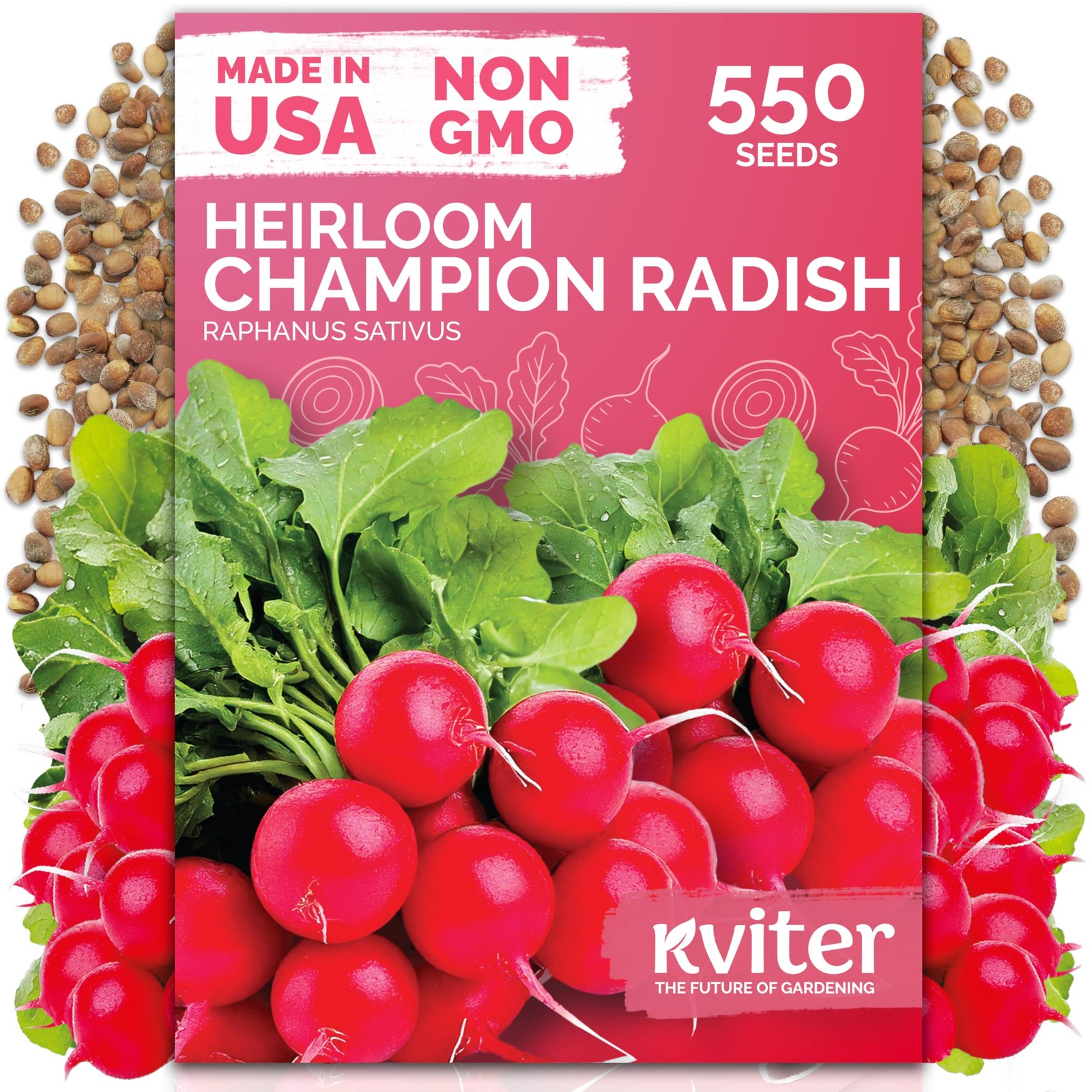 KVITER 550 Champion Radish Seeds (Raphanus Sativus)