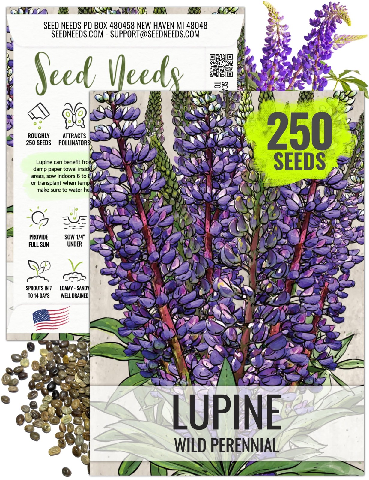 Seed Needs Wild Perennial Lupine Seeds for 1 Pack (250 Seeds), Indigo