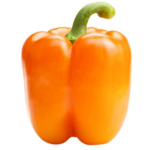 Sunset Aloha Pepper, Big Red, Yellow, Lilac, Orange Bell Pepper Seeds, 2024