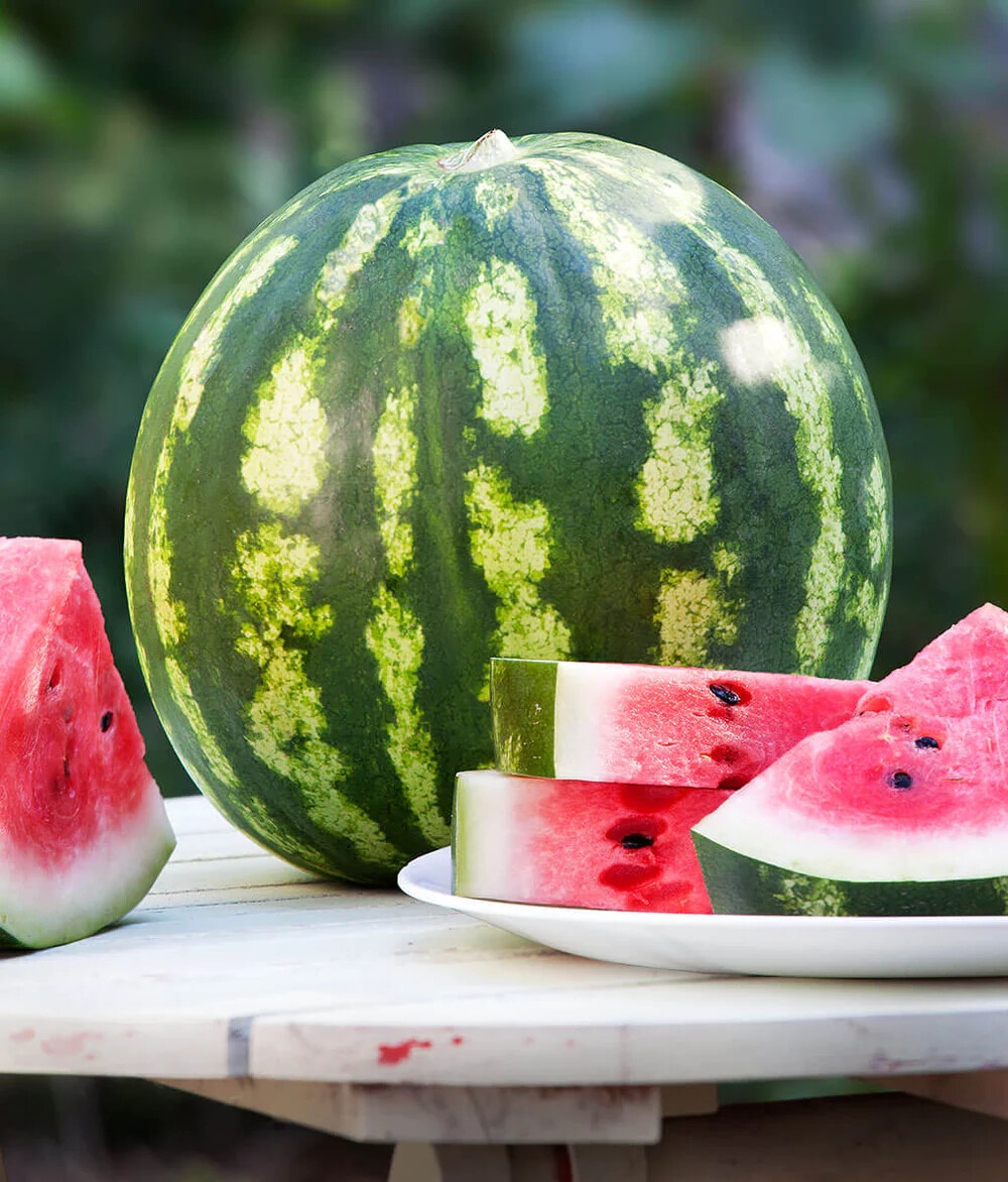 Crimson Sweet Watermelon Seeds, NON-GMO, ORGANIC, HEIRLOOM – Free Shipping!