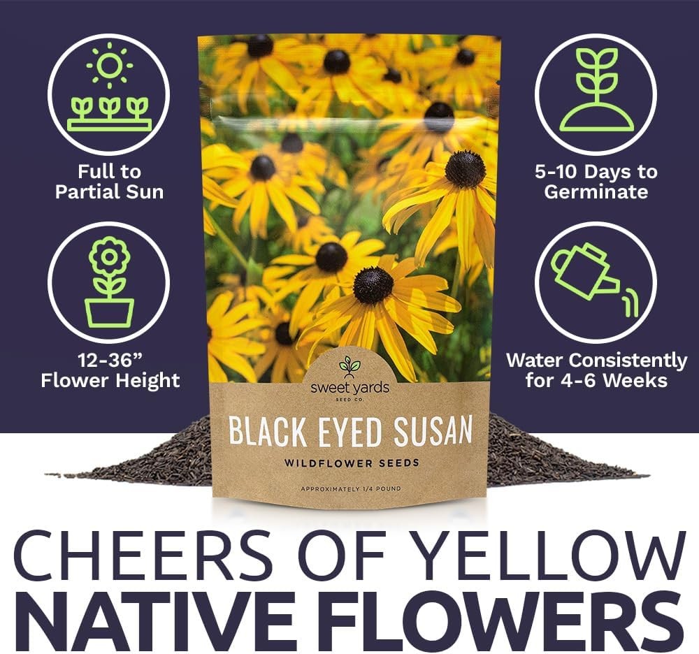 Black Eyed Susan Seeds – Bulk Quarter Pound Bag – Over 400000 Open Pollinated