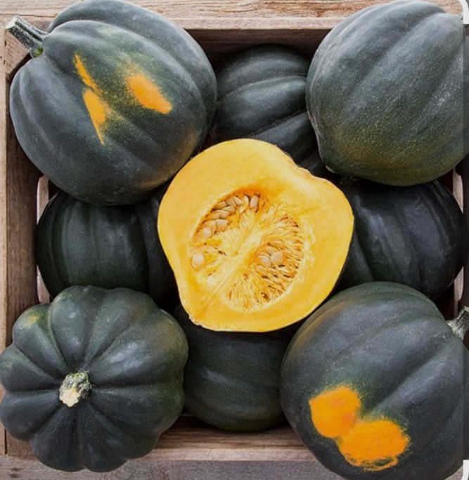Acorn Squash Seeds