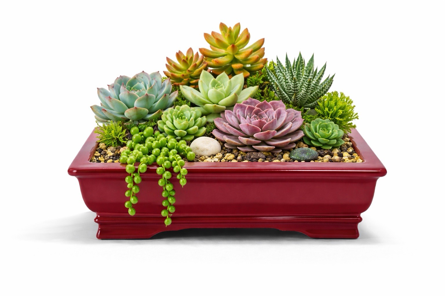 Unknown Japanese Tokoname Bonsai Tree Pot 10x6x3 Great Design Red Clay