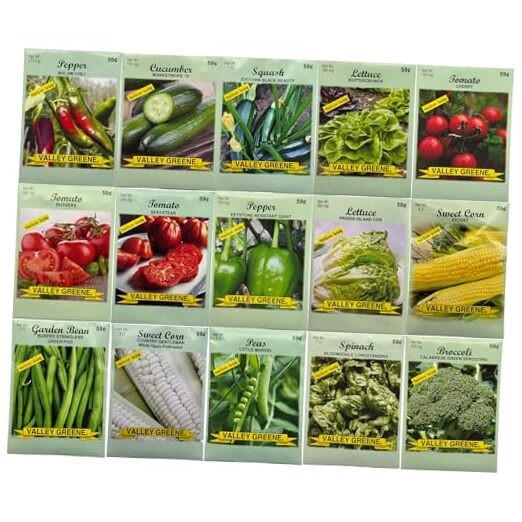Garden Seeds – Deluxe Heirloom Variety Pack, Non-GMO, Perfect 15 Pack Vegetable