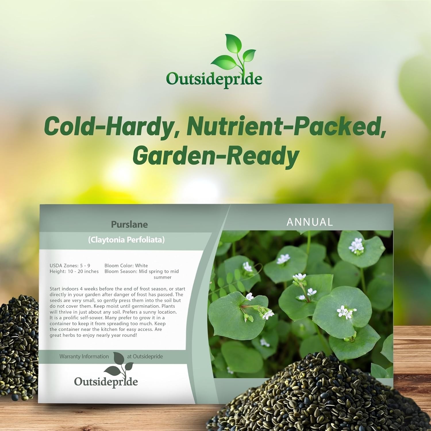 10000 Seeds Purslane Seeds For Planting Outdoors – Winter Purslane Herb Seeds