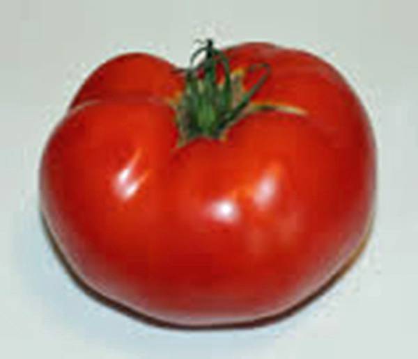 TOMATO SEEDS, RUTGERS, HEIRLOOM, 100 SEEDS, NON GMO, LARGE TOMATOES