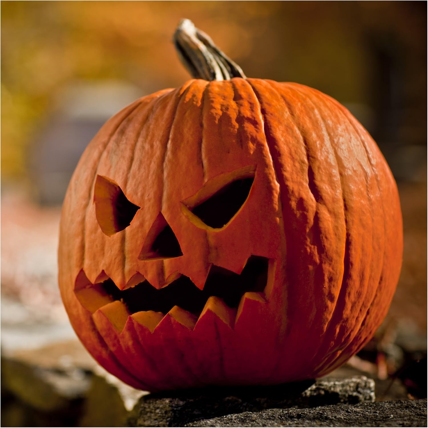 Seed Needs Spooky Blend Pumpkin Seeds – 30 Heirloom for Planting Mixed