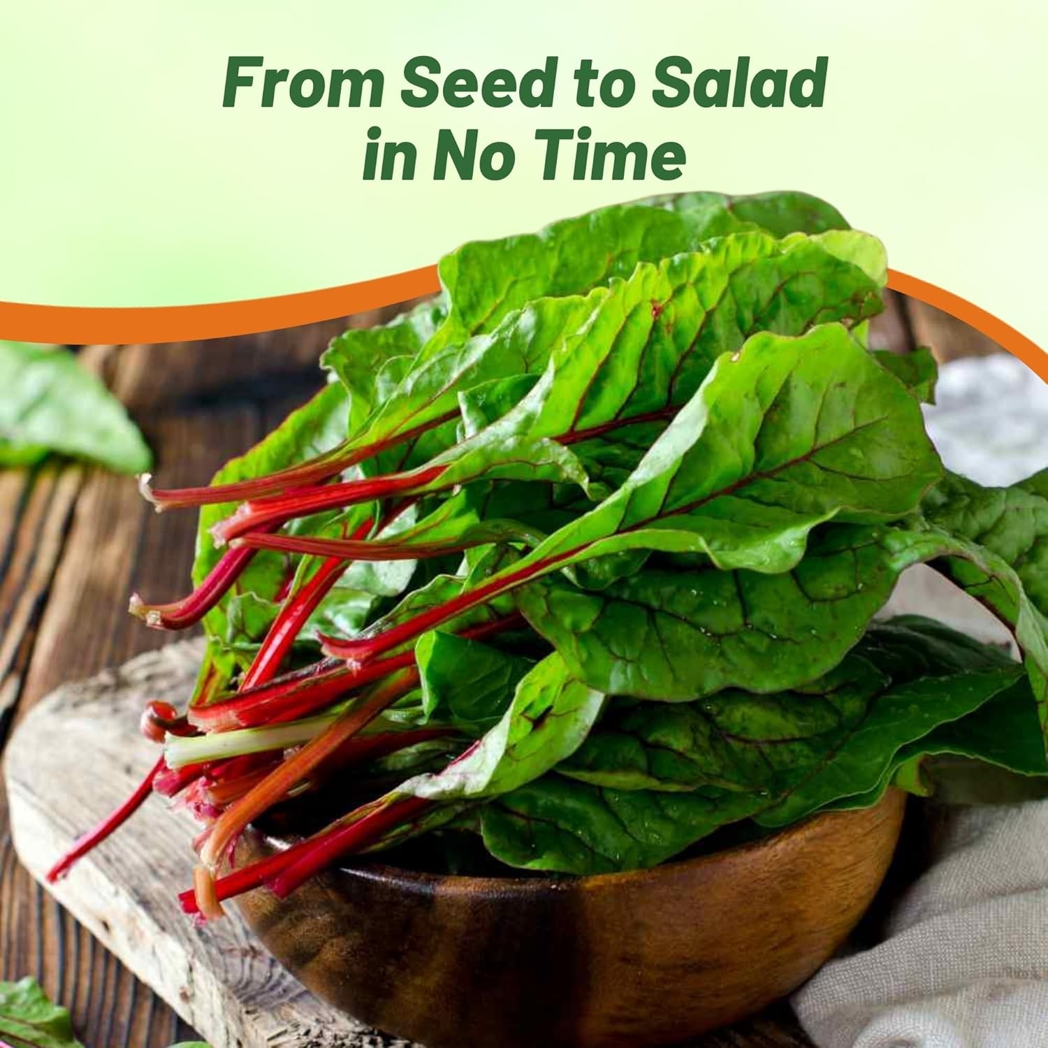 1000 Seeds Swiss Chard Seed – Swiss Chard Ruby Red Herb Seeds