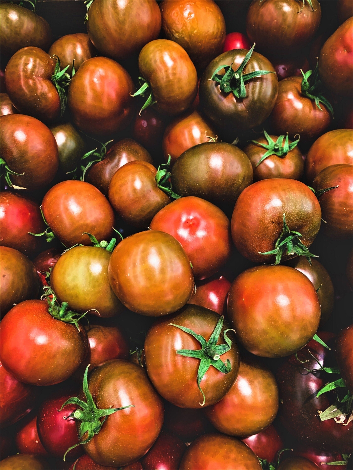 Black Brandywine Tomato Seeds 50 Ct Vegetable HEIRLOOM NON-GMO USA FREE SHIPPING