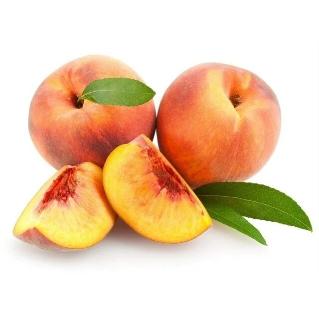 5 Peach Tree Seeds Dwarf Loring NEMAGUARD (Prunus persica) Fast Hardy Fruit #28