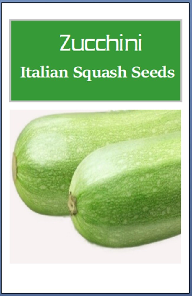 Italian Squash Zucchini Seeds | NON-GMO | Heirloom | Fresh Garden Seeds