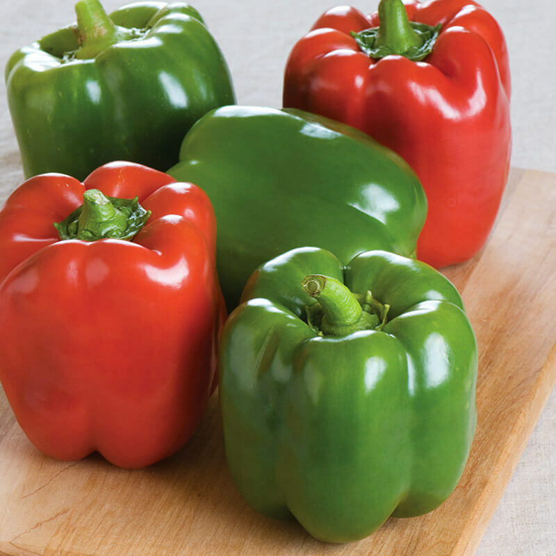 CALIFORNIA WONDER TMR 300 pepper seeds NON-GMO improved heirloom variety
