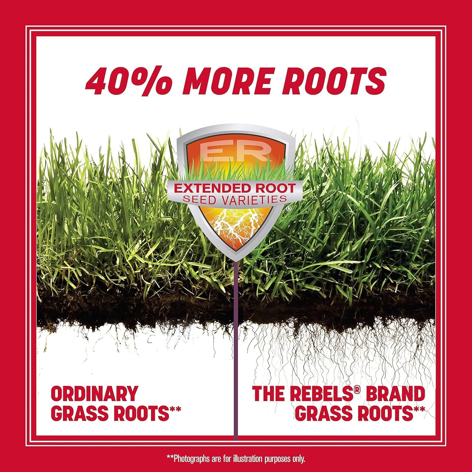 Tall Fescue Grass Seed 40lb – Dense Roots, Drought/Heat Tolerant, 4-6 Hrs Sun