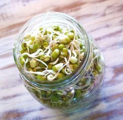 8 oz Mung Bean