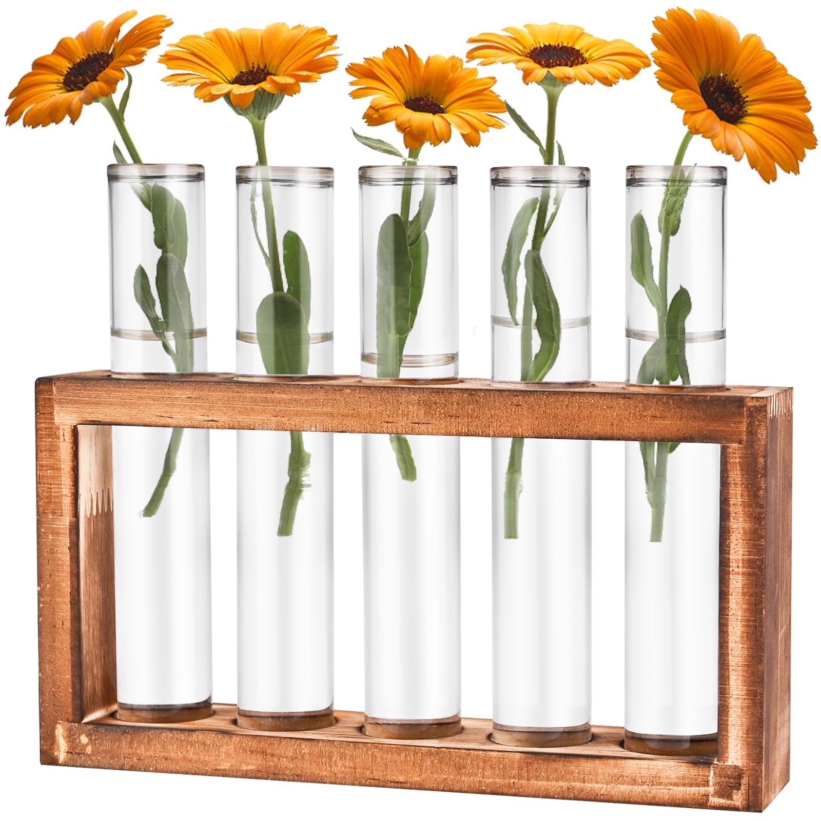 Tigvio Desktop Glass Plant Propagation Station with 5 Test 5 Tubes, Clear