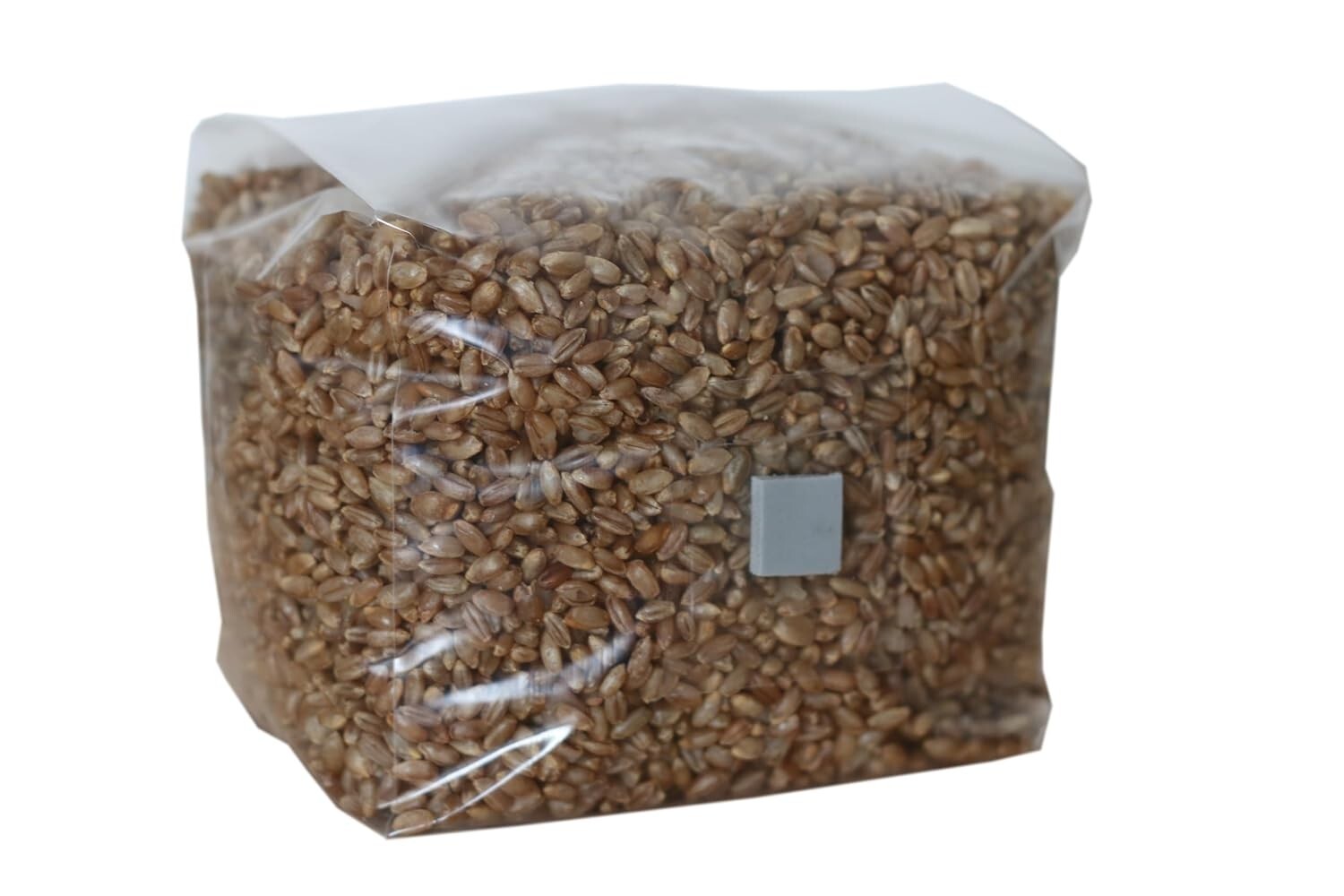 Mushroom Rye Grain Spawn Bag 3lb Sterilized with Injection Port Grow Mushrooms