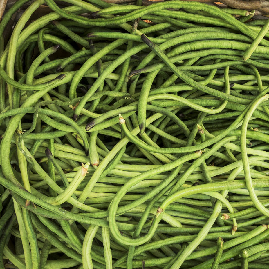 You Fong Wong Yard Long Bean Seeds | Black Seeded Green Bean USA Asian Seed 2024