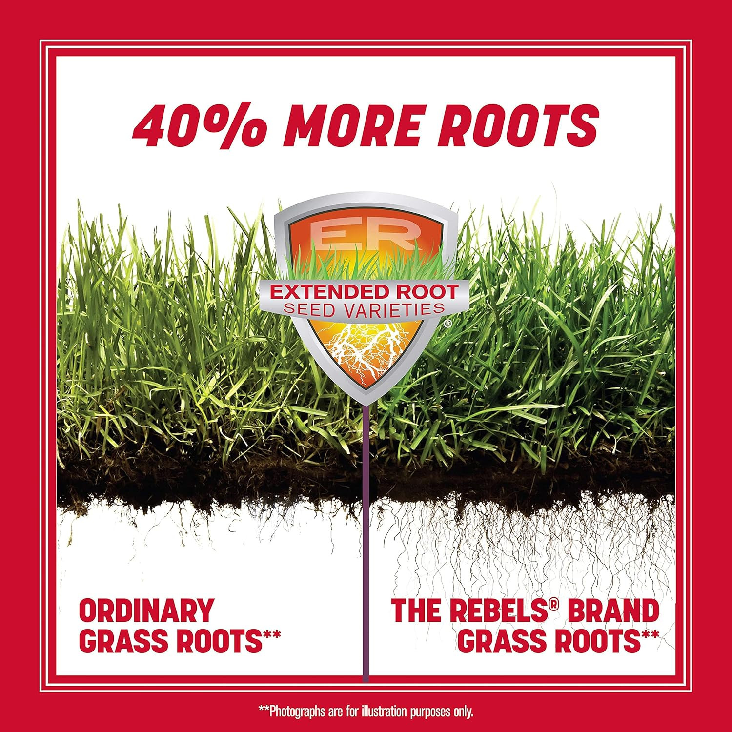 the Rebels Tall Fescue Grass Seed Mix 20 Lb