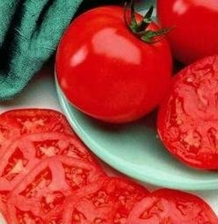 Tomato Manalucie Lycopersicon Esculentum Heat Tolerant Garden Plant 20 Seeds