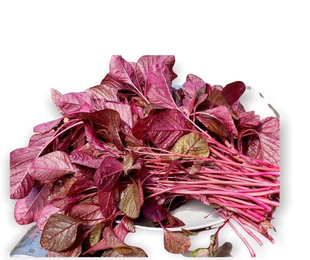 Red Amaranth (Lal Shak) 10,000 Seeds for Planting ( 10 Grams ) লাল শাক