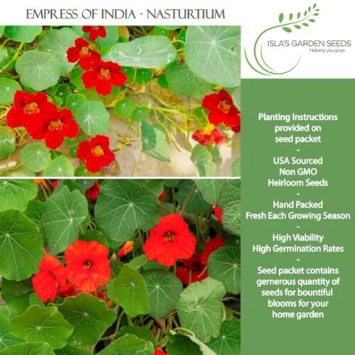 Empress of India, Nasturtium Seeds for Planting – 50+ Flower Seeds Per Packet,