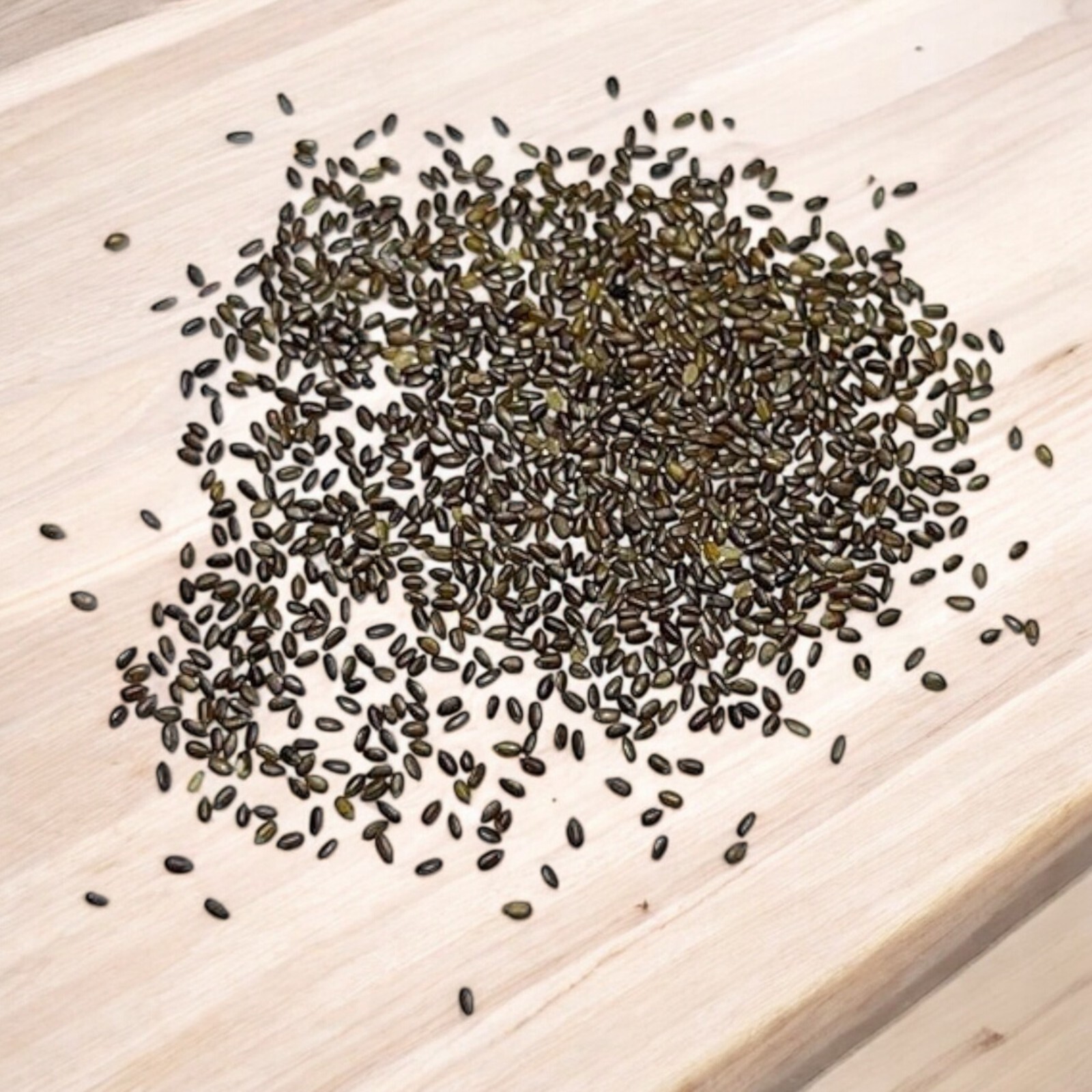 Mint Seeds – 1000 Seeds – Non-GMO Heirloom Herb for Tea, Cooking, and Gardens