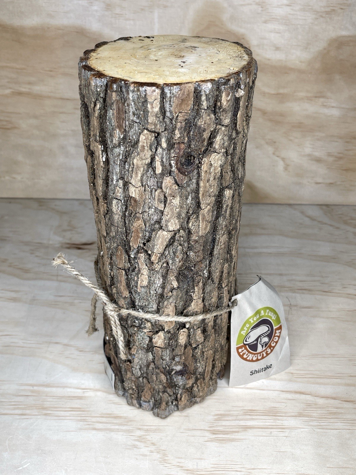 2FUNGUYS 12” MUSHROOM LOG shiitake Brand new never used