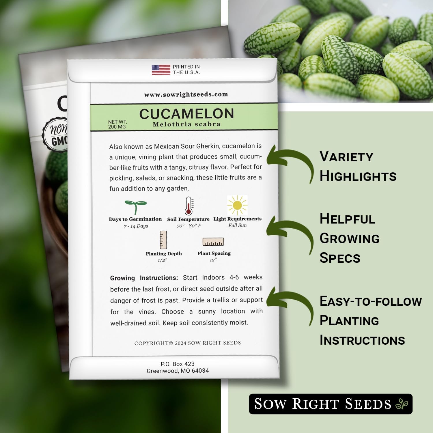 Sow Right Seeds – Cucamelon for Planting – Non-GMO Heirloom Green
